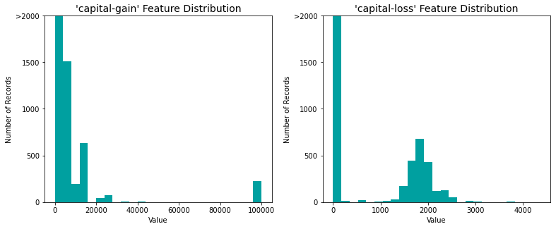 Skewed Distributions of Continuous Census Data Features