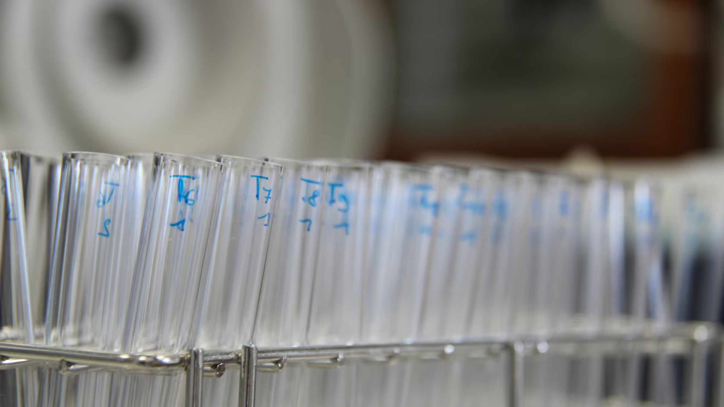 Numbered laboratory test tubes arranged in a metal rack